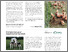 [thumbnail of icoel-a-rsskrift-2024_lav-opl_separate-sider_25.pdf]
