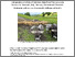 [thumbnail of Notat 8_23 Comparative analysis of interview data from free-range pig farmers - R. Helliwell et al_.pdf]