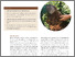 [thumbnail of Policy-brief-1_Final.pdf]