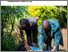 [thumbnail of matheri-etal-2024-SysComKenya_leaflet_vermicompost.pdf]