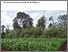 [thumbnail of SysComKenya_leaflet_PRdissolution.pdf]