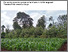 [thumbnail of mwangi-etal-2024-SysComKenya_leaflet_PRdissolution.pdf]