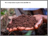 [thumbnail of SysComKenya_leaflet_composting.pdf]