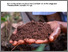 [thumbnail of matheri-etal-2024-SysComKenya_leaflet_composting.pdf]