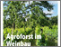 [thumbnail of DE-Agroforst-low.pdf]