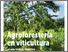 [thumbnail of ES-Agroforesteria-low.pdf]