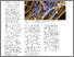[thumbnail of EN DIRECT no 317.pdf]