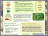 [thumbnail of 6.3 Netherlands.pdf]