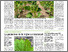 [thumbnail of agri_n-20---17-mai-2024 (1).pdf]