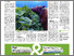 [thumbnail of staehli-bouguin-2024-agri-9-aout-p15.pdf]