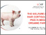 [thumbnail of PowerPoint Presentation]