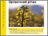 [thumbnail of 1047-organic-rapeseed-ukraine.pdf]