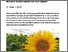[thumbnail of klaiss-2025-bioaktuellch_Aktualisierte-Sortenliste-Futterbau-andere-Ackerkulturen-verfuegbar.pdf]
