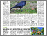 [thumbnail of agri_n-15---12-avril-2024.pdf]