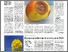 [thumbnail of agri_n-30---26-juillet-2024.pdf]