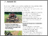 [thumbnail of hedrich-2025-bioaktuellch_Bluehstreifen-im-Kraeuteranbau.pdf]
