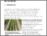 [thumbnail of hedrich-2025-bioaktuellch_Pflanzenstaerkende-Wirkung-von-Kompost-bei-Koriander.pdf]