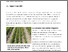 [thumbnail of hedrich-2025-bioactualitesch_Pflanzenstaerkende-Wirkung-von-Kompost-bei-Koriander_FR.pdf]