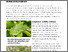 [thumbnail of hedrich-2025-bioaktuellch_Erdflohkaefer-an-verschiedenen-Kraeuterkulturen.pdf]