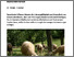 [thumbnail of werne-2025-bioaktuellch_Wuermer-ueber-das-Weidemanagement-kontrollieren.pdf]