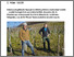 [thumbnail of luetold-2025-bioaktuellch_Wenn-Reben-unter-Birken-leben.pdf]