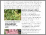 [thumbnail of hedrich-2025-bioaktuellch_Brennfleckenkrankheit-bei-Malven.pdf]