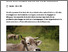 [thumbnail of obrist-2025-bioactualitesch_Gesunde-Milchkuehe-trotz-langer-Nutzungsdauer_FR.pdf]