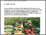 [thumbnail of mica-2025-bioactualitesch_Tradition-trifft-Praxis_Seltene-Kuerbissorten-im-Bioanbau_FR.pdf]