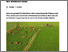 [thumbnail of rutz-2025-bioaktuellch_Weiden-bieten-wertvolle-Lebensraeume-fuer-die-Biodiversitaet.pdf]
