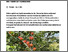 [thumbnail of baumgartner-2025-bioaktuellch_Aprikosenanbau-in-der-Deutschschweiz-nur-im-Tunnel-rentabel.pdf]
