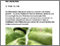 [thumbnail of herren-2025-bioaktuellch_Ruebenruessler-Neuer-Schaedling-im-Gemuesebau.pdf]