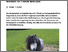 [thumbnail of helbing-2025-bioaktuellch_Zucker-im-Raufutter_Gesundheitliche-Risiken-fuer-Pferde-und-Esel.pdf]