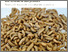 [thumbnail of 1597-farine-d-insectes.pdf]