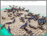 [thumbnail of 1160-hermetia-de.pdf]