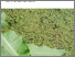 [thumbnail of 2025-06-02 18_50_57-Duckweed - a useful crop - 1765-duckweed.pdf – Mozilla Firefox.png]