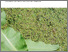 [thumbnail of 1390-wasserlinsen.pdf]