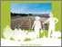 [thumbnail of Guia-para-la-plantacion-de-setos-e-islotes-forestales-en-campos-agricolas-mediterraneos.pdf]