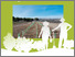 [thumbnail of 2025-06-09 15_54_39-Maquetación 1 - Guia-para-la-plantacion-de-setos-e-islotes-forestales-en-campos-.png]