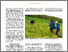 [thumbnail of bioactualites_0525_luetold_combattre_neophytes.pdf]