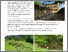 [thumbnail of FARM_IT_04_EN.pdf]