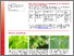 [thumbnail of sauer-etal-2025-GemuesebauInfo_Nr4_02042025.pdf]