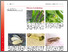 [thumbnail of sauer-etal-2025-GemuesebauInfo_Nr8_30042025.pdf]
