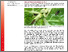 [thumbnail of sauer-etal-2025-GemuesebauInfo_Nr9_07052025.pdf]