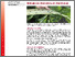 [thumbnail of sauer-etal-2025-GemuesebauInfo_Nr12_28052025.pdf]