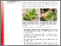 [thumbnail of sauer-etal-2025-GemuesebauInfo_Nr14_11062025.pdf]