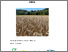 [thumbnail of 2024 Bericht Mahlweizen]