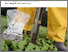 [thumbnail of 2025-07-01 17_51_27-Bodenuntersuchungen für Biobetriebe - 1158-bodenuntersuchung.pdf – Mozilla Firef.png]