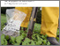 [thumbnail of 1158-bodenuntersuchung.pdf]
