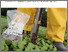 [thumbnail of 1296-analyses-sols.pdf]