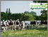 [thumbnail of Design ohne Titel.png]